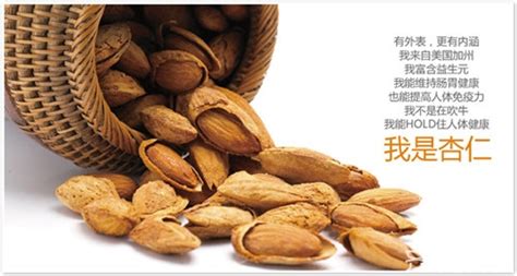 杏仁和巴旦木的區(qū)別(杏仁和巴旦木的區(qū)別哪個好)縮略圖