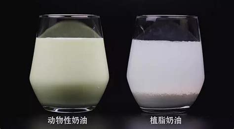 植物奶油與動物奶油哪個更健康,植物奶油和動物奶油的區別在哪里縮略圖