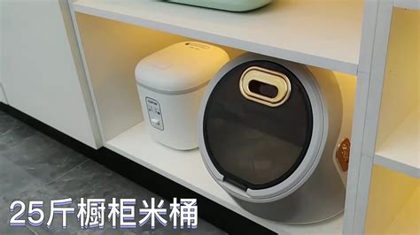 米桶放什么能預防蟲子,防止大米生蟲的最佳方法縮略圖