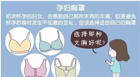 哺乳內衣怎么選(哺乳內衣怎么選大小)縮略圖