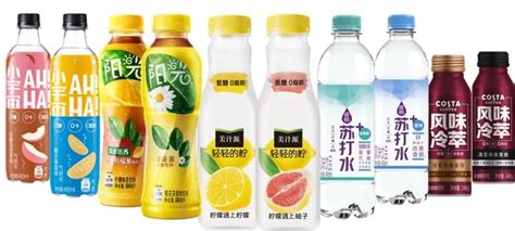茶飲料有哪些品牌(有糖茶飲料有哪些品牌)縮略圖