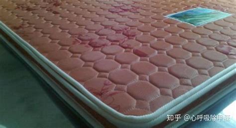 棕墊怎么去除甲醛(去除棕墊甲醛的最有效方法)縮略圖